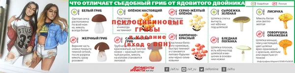 гидропоника Балабаново